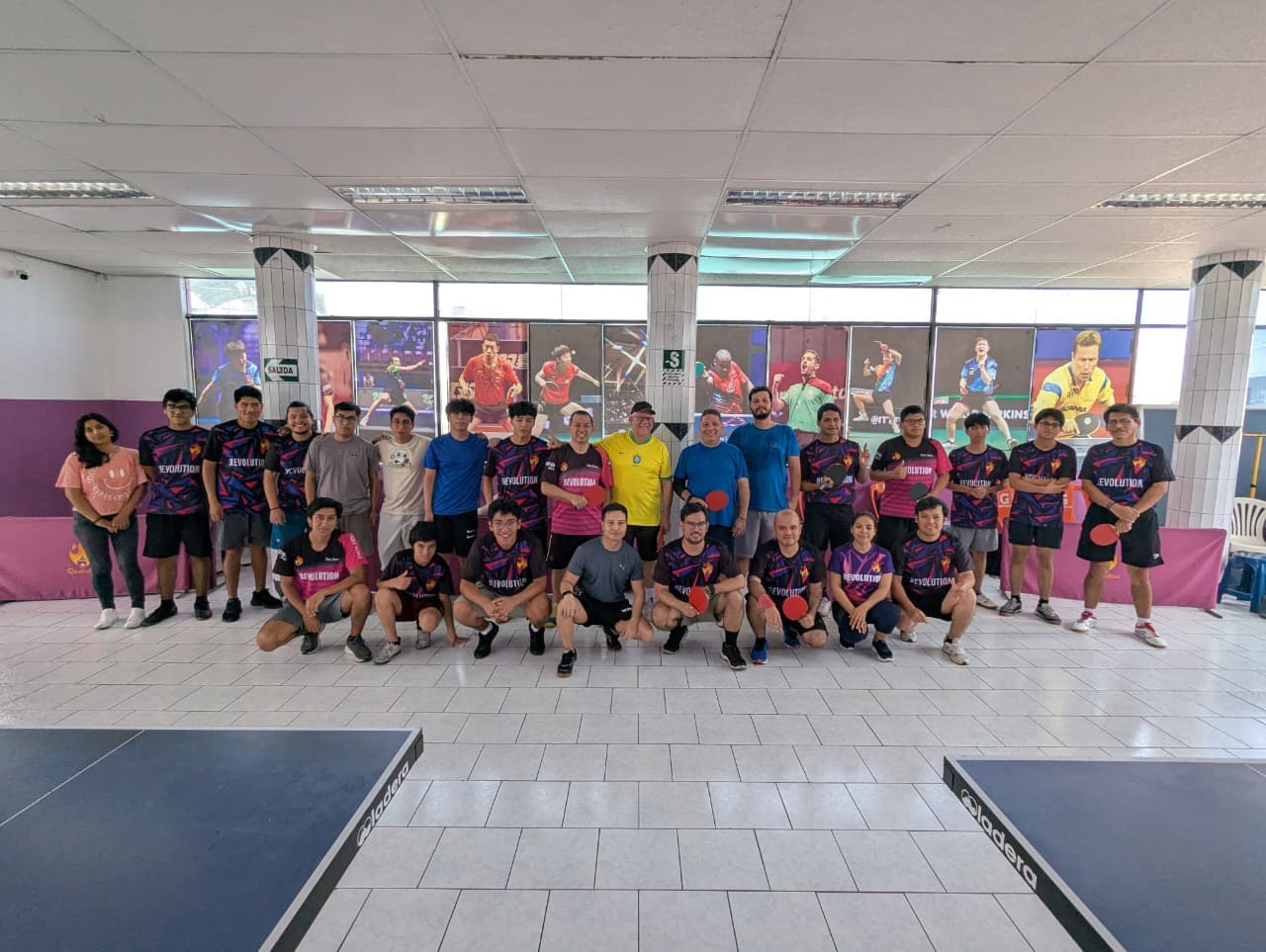 Revolution - Tenis de mesa